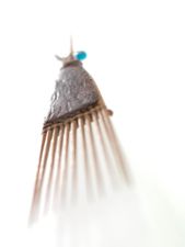 Hair ornament